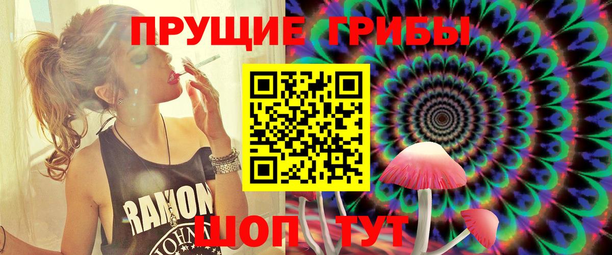 Галлюциногенные грибы GOLDEN TEACHER  купить  цена  Биробиджан  Вход с VPN 