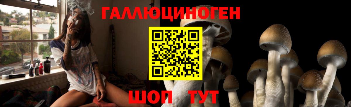 Галлюциногенные грибы ЛСД Биробиджан